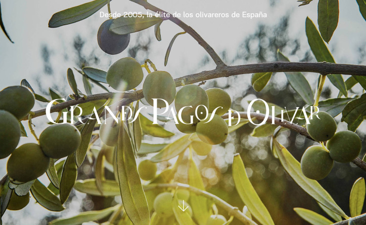 Grandes pagos de olivar